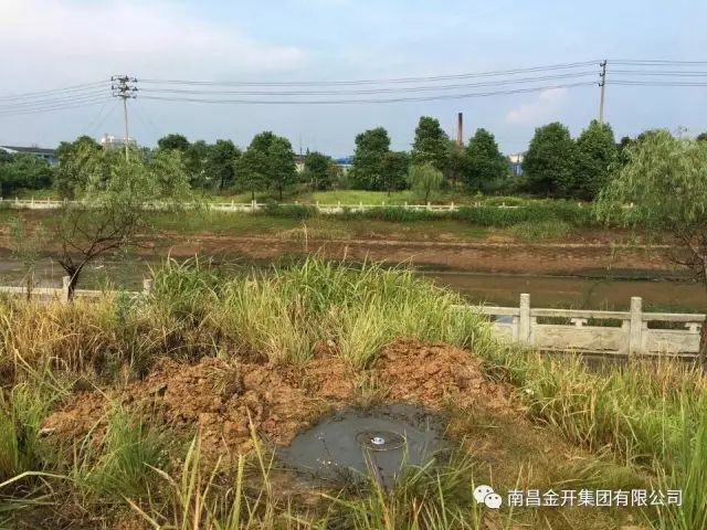 设计院公司开展桑海产业园测量控制网布设工作