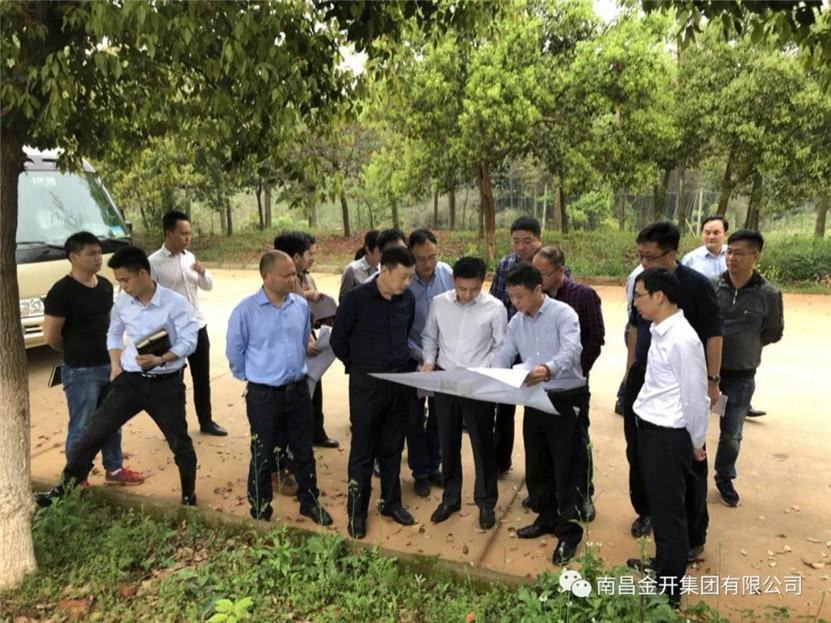 程建兵书记再次来到中医药科创城,提出这些要求……