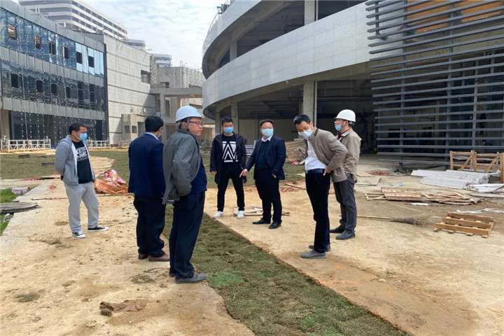 集团副总经理胡许亮督导推进儒乐湖片区重大重点项目建设