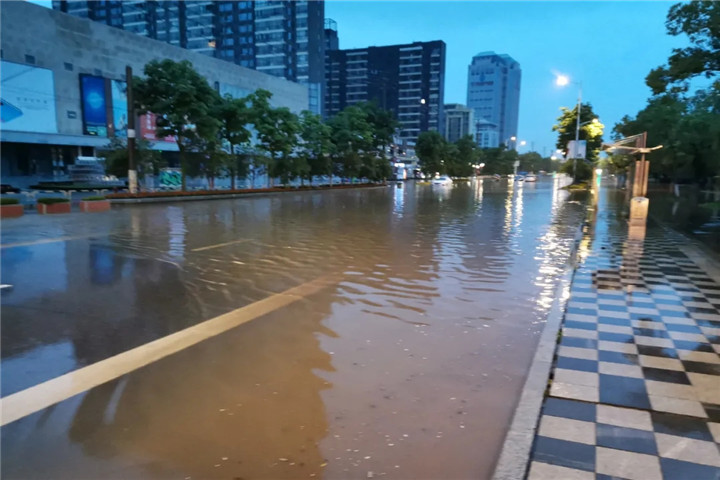 突发!暴雨来袭,彰显管护担当!