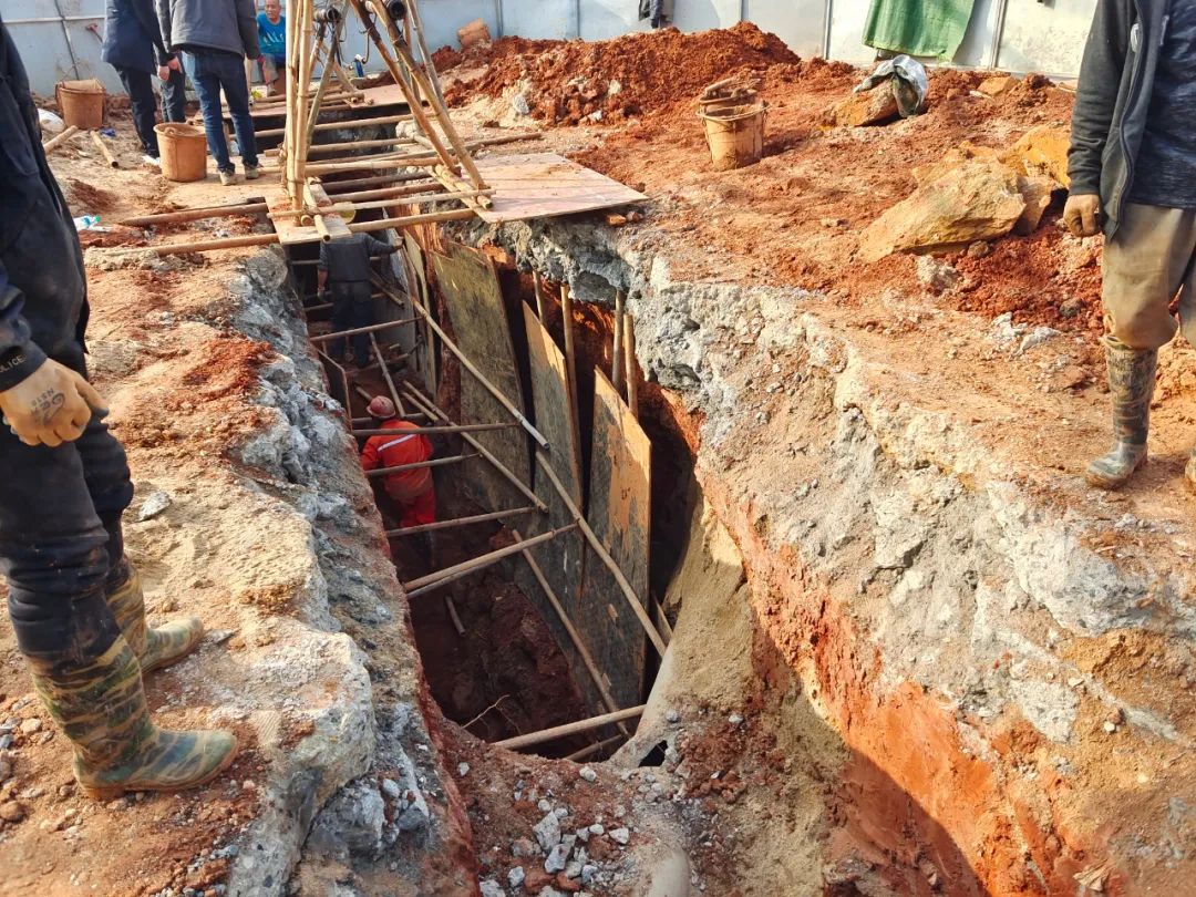 我为群众办实事 │ 办实事、解民忧、暖民心