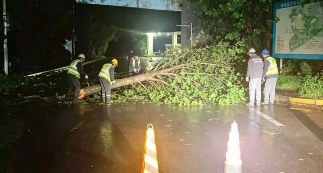 风雨逆行，“讯”速出击