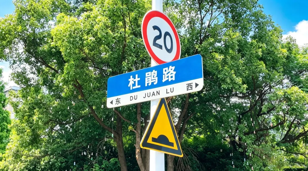 杜鹃路通车，打通居民出行“最后一公里”