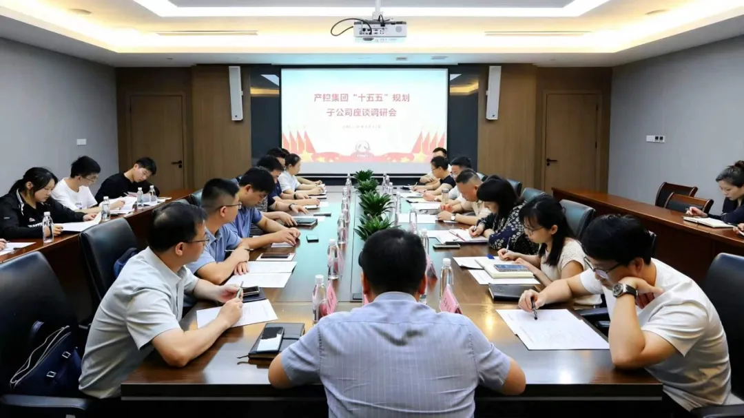 集思广益谋发展 凝心聚力绘蓝图——集团召开“十五五”规划座谈调研会